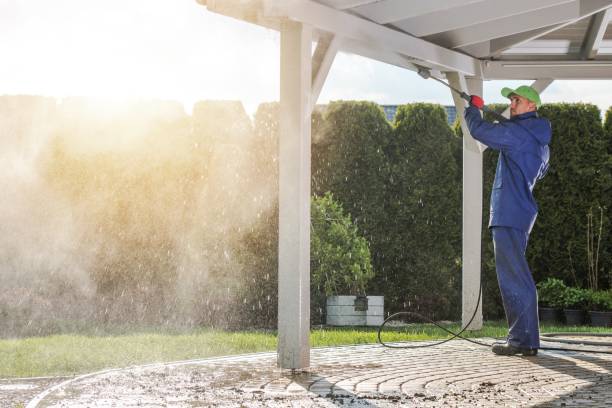 Animal Enclosure Cleaning in Taylor Creek, OH