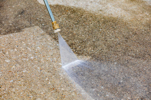 Best Dumpster Area Cleaning  in Taylor Creek, OH