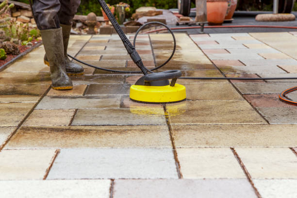 Best Boat and Dock Cleaning  in Taylor Creek, OH