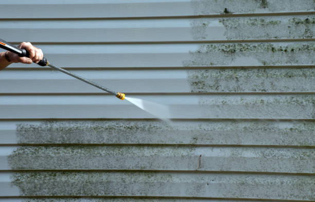 Best Sidewalk and Walkway Cleaning  in Taylor Creek, OH